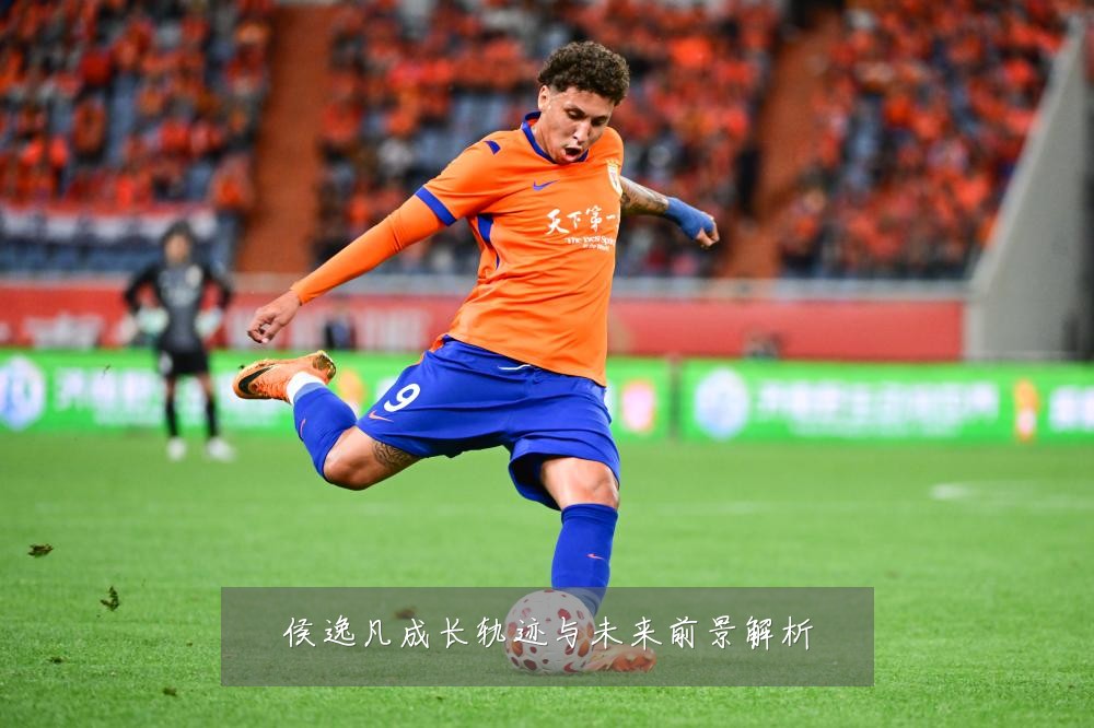 侯逸凡成长轨迹与未来前景解析